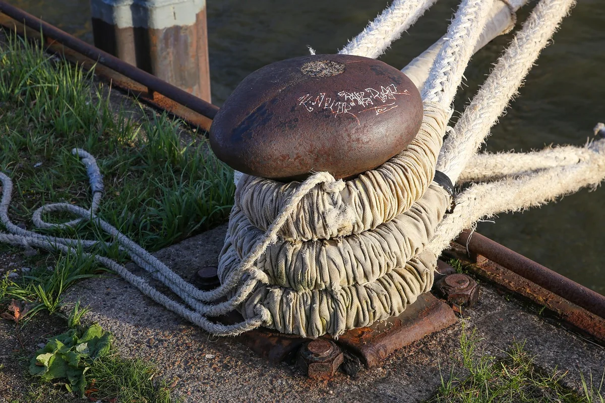 Choisir le bon investisseur : bien plus qu'un chèque