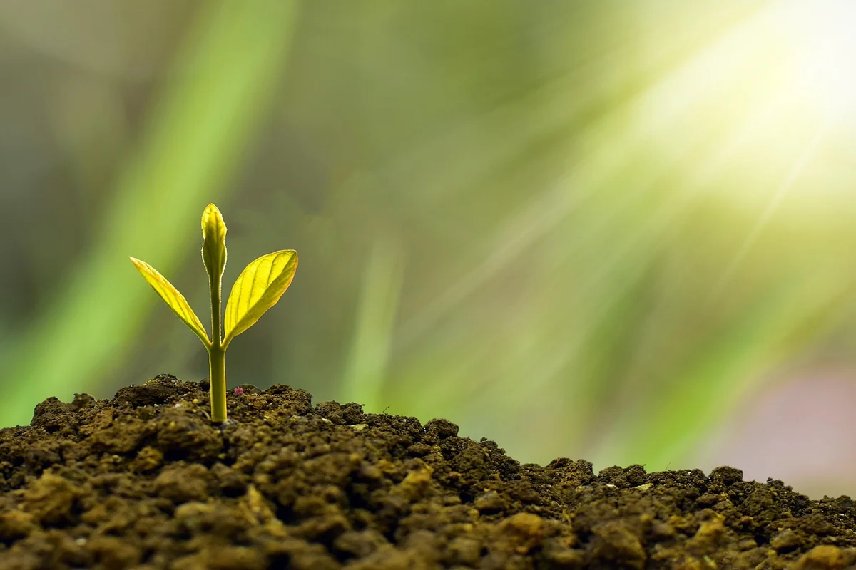 LCL particuliers secure : comment protéger vos comptes en ligne en 2026