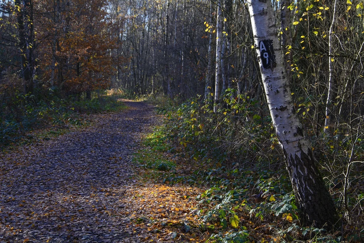 Positionnement : le choix qui tue (ou qui sauve)